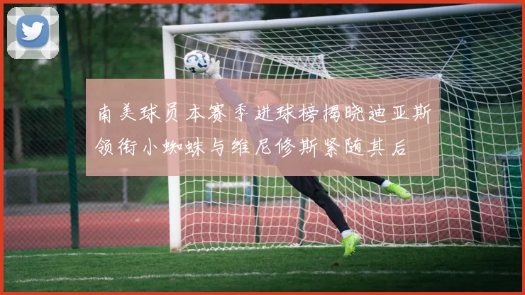 南美球员本赛季进球榜揭晓迪亚斯领衔小蜘蛛与维尼修斯紧随其后